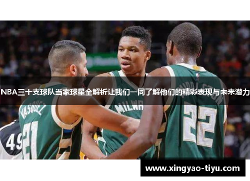 NBA三十支球队当家球星全解析让我们一同了解他们的精彩表现与未来潜力