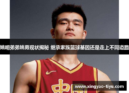 姚明弟弟姚勇现状揭秘 继承家族篮球基因还是走上不同道路