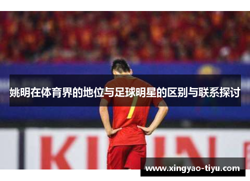 姚明在体育界的地位与足球明星的区别与联系探讨