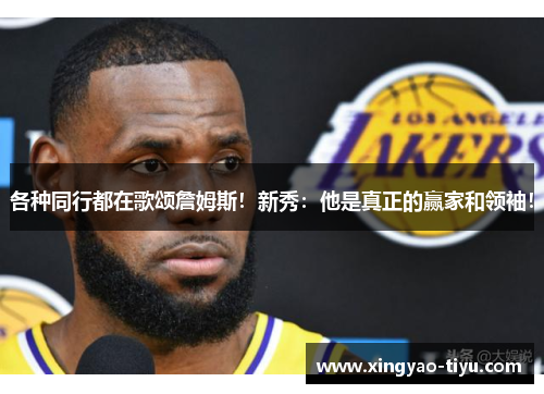 各种同行都在歌颂詹姆斯！新秀：他是真正的赢家和领袖！